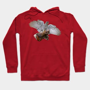 Goshawk about to land Hoodie